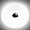 Flappy Moonshine Image