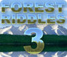 Forest Riddles 3 Image