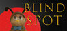 Blind Spot Image