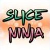Slice Ninja Image