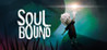 SOULBOUND (2021)