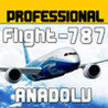 Flight 787 - Anadolu Image