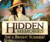 Hidden Memories of a Bright Summer Image