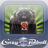 Crazy Pinball Jungle Image