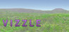 Vizzle Image