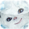 YOKO Game Image