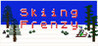Skiing Frenzy Image