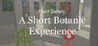 Plant Gallery: A Short Botanic Experience