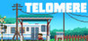 Telomere Image