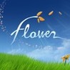 flower Image