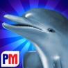 Dolphins Dice Slots Image
