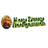Acey Ducey Backgammon Image