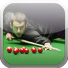 Ronnie O'Sullivan's Snooker Image