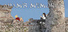 Adam's Memories Image