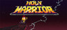 Holy Warrior Image