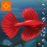 Fish Tycoon Image