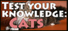 Test your knowledge: Cats Image