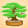 Puzzle Bonsai Image