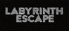Labyrinth Escape Image
