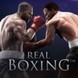Real Boxing thumbnail