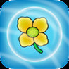 Camelina Caper Image