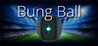 Bung Ball