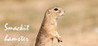 Smackit hamster Image