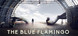 The Blue Flamingo thumbnail