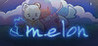 Melon Image