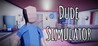 Dude Simulator Image