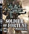 Soldier of Fortune: Payback Image
