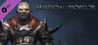 Middle-earth: Shadow of Mordor - Berserks Warband Image