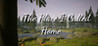 The Place I Called Home