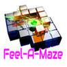 Feel-A-Maze Image