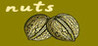 Nuts (Game Dev)