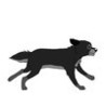 No Dog Dies Today! Image