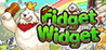 Fidget Widget