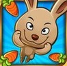 Lab Bunnies Image