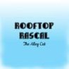 Rooftop Rascal: The Alley Cat Image