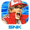 Fatal Fury Special Image