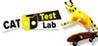 Never Experiment On Cats! Image