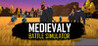 Medievaly: Battle Simulator Image