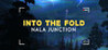 Into the Fold - Nala Junction Image