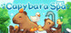 Capybara Spa Product Image