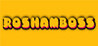 Roshamboss Image