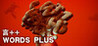 WordsPlus