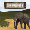 The Elephant E Image