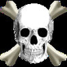 Pirate Polo Image