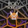 Poly Match Image