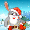 A Fast Rabbit : Hunter Of Carrots For Christmas Image